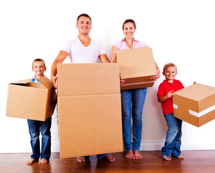 Secure document storage solutions in Northsheen for organised records