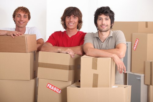 Convenient local secure storage in Northsheen for easy access and protection