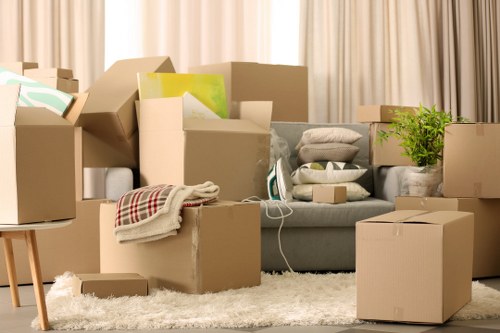Local Northsheen moving team handling boxes and household items